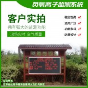 去公園吸氧，看看負(fù)氧離子在線監(jiān)測(cè)儀！